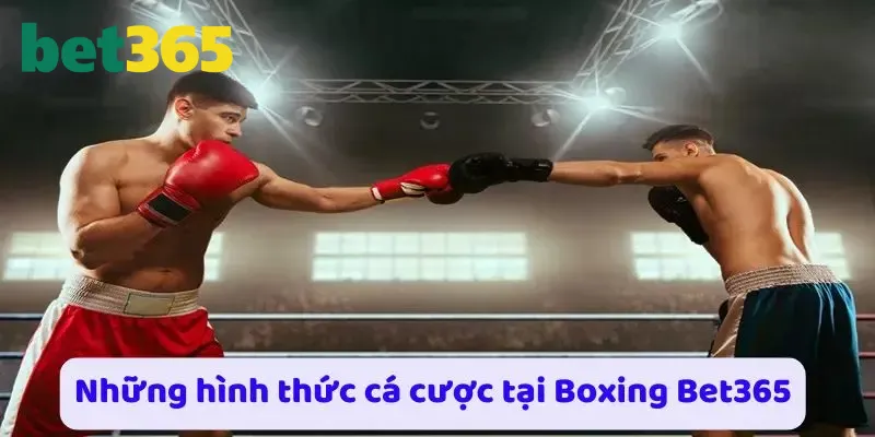 Khám phá những hình thức cá cược phổ biến tại boxing Bet365