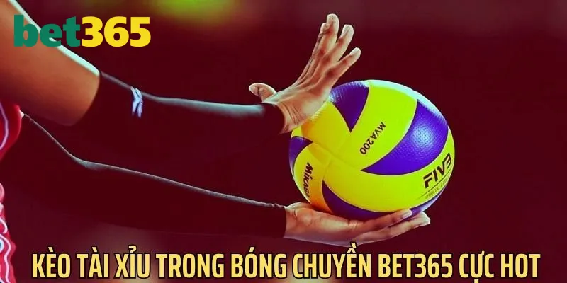 Kèo Tài - Xỉu trong bóng chuyền Bet365 cực hot