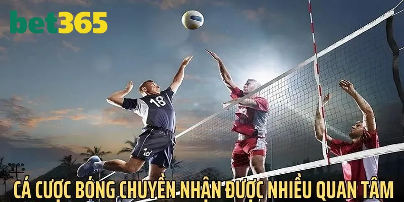 Cá cược bóng chuyền Bet365 là sân chơi nhận được nhiều sự quan tâm