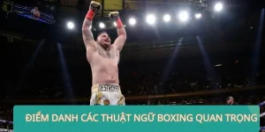 thuật ngữ boxing
