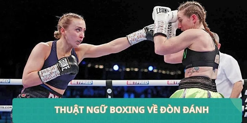 Các thuật ngữ Boxing trong luật chơi và chiến thuật