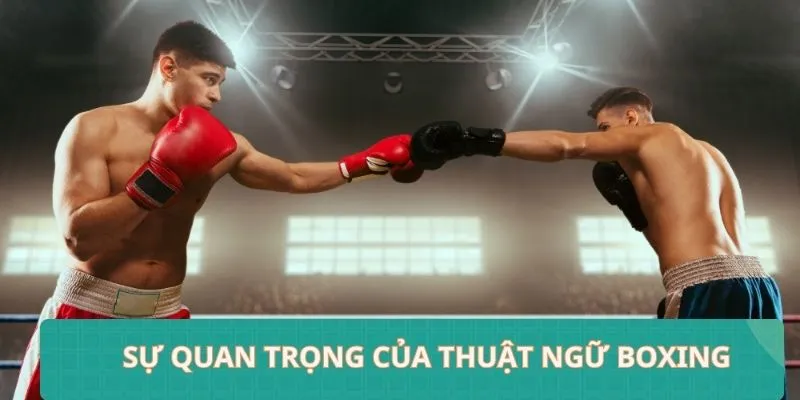 Sự quan trọng của việc hiểu rõ thuật ngữ boxing